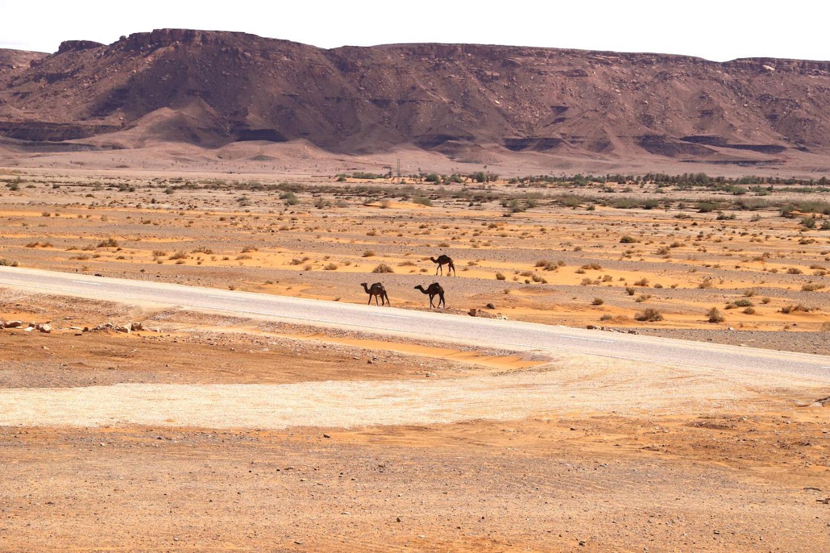 Porte De Sahara Ouzina Bagian luar foto