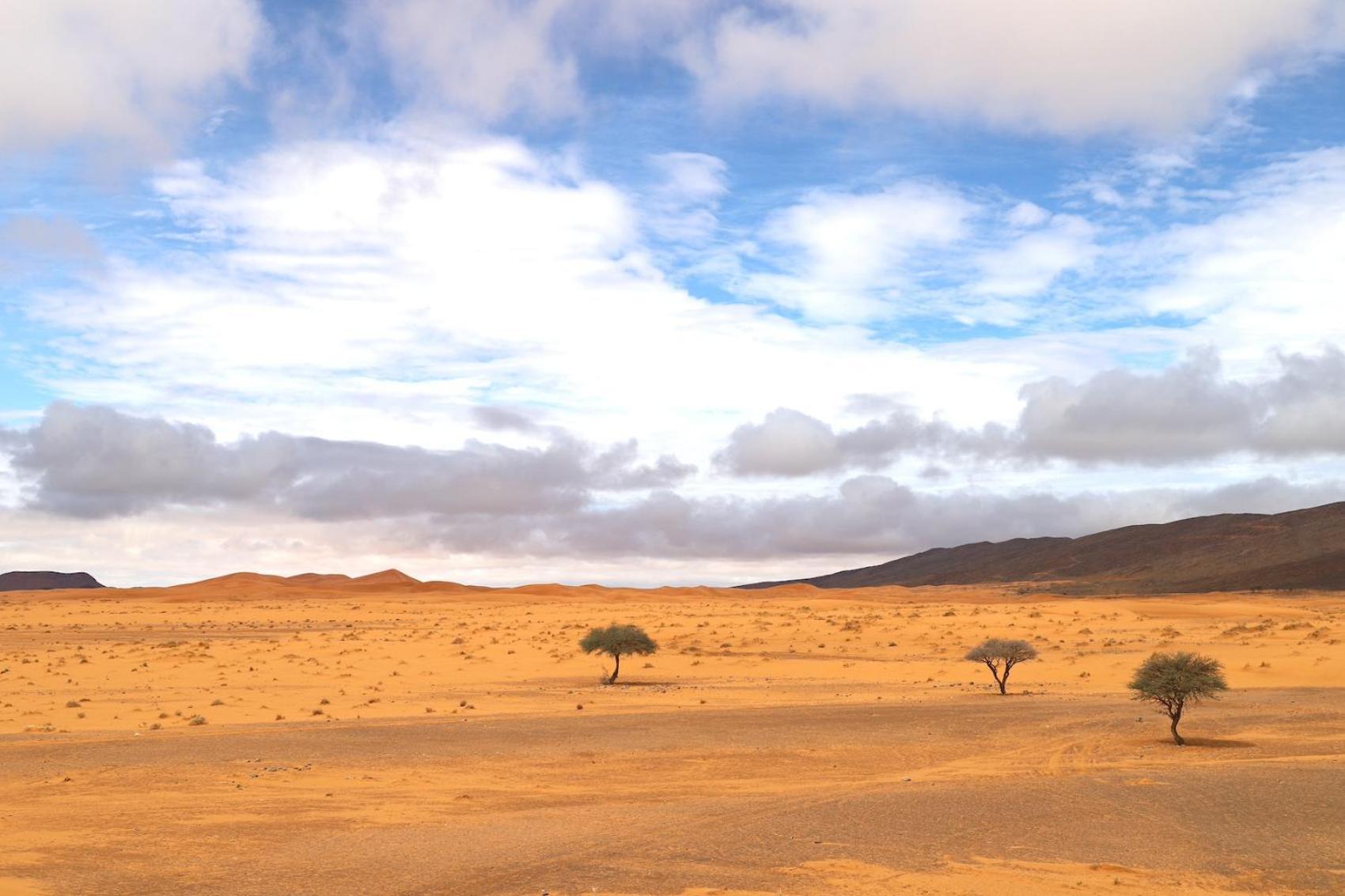 Porte De Sahara Ouzina Bagian luar foto